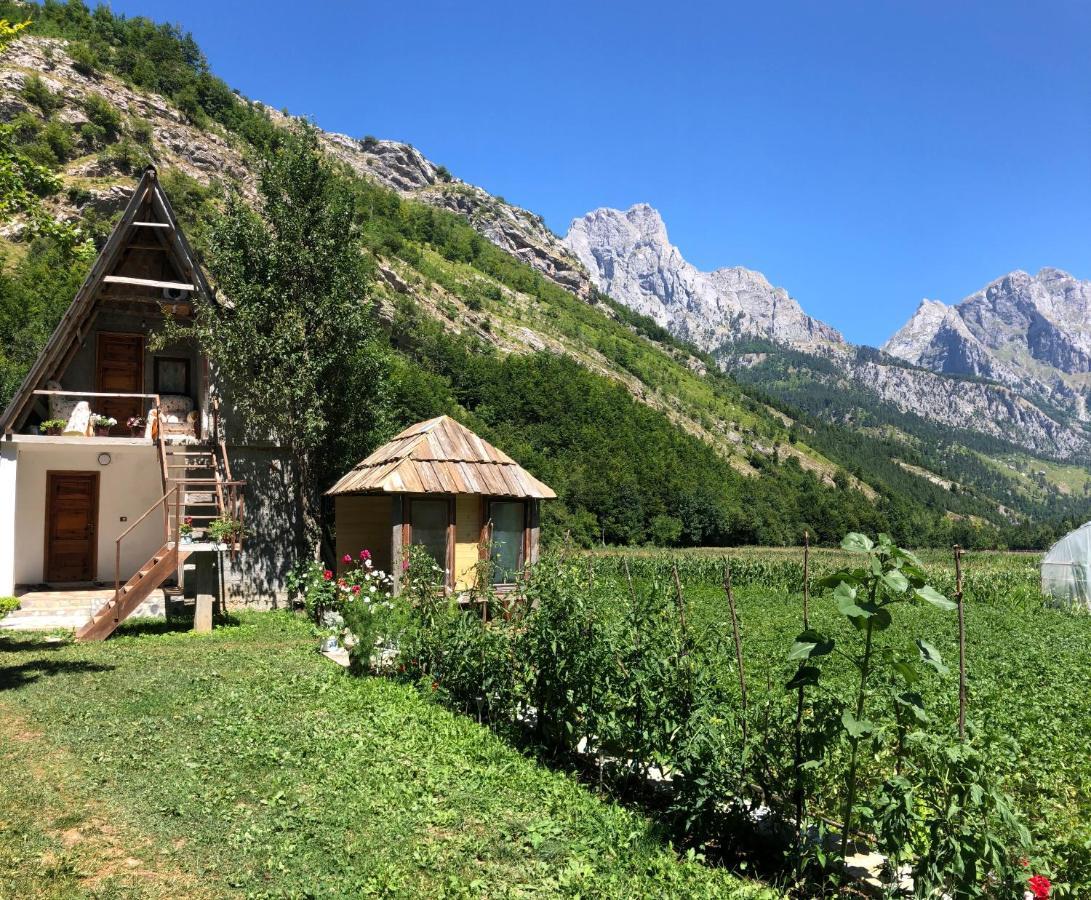 Guest House Ledio Valbone Buitenkant foto